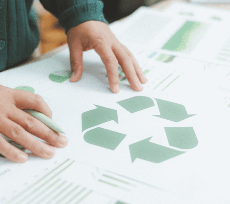 Interconnected Sustainability Systems