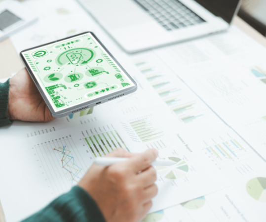 Sustainable Management